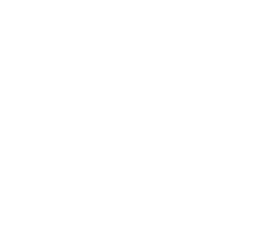 Consulting Services