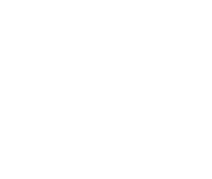 Skill Assessment
